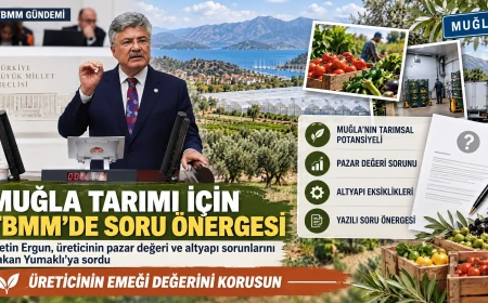 Muğla Tarımında Soğuk Hava Deposu Krizi TBMM Gündemine Taşındı