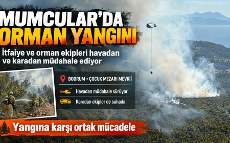 Bodrum Mumcular’da Korkutan Orman Yangını: Ekipler Alevlerle Mücadele Ediyor