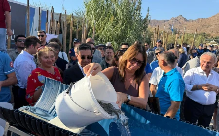 İkinci Uluslararası Bodrum Balık Festivali BoBaFest 2026 Akyarlar Karaincir Koyu’nda Başladı