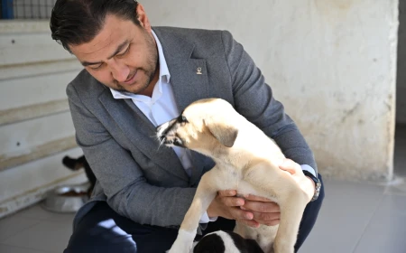 AK Parti Bodrum İlçe Başkanlığı'ndan Torba Hayvan Barınağı'na Ziyaret: Can Dostlar Yalnız Değil