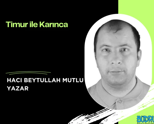 Timur ile Karınca