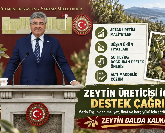Metin Ergun’dan Zeytin Üreticileri İçin 6 Maddelik Çözüm Çağrısı: “Kilogram Başına En Az 50 Lira Destek Verilmeli”