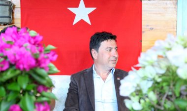 Chp’li Aras Bütün Bodrum’u Begonvillerle Donatacak