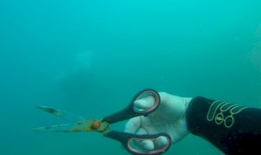 Yalıkavak Cafe Önünden 567 Kg Atık Çıkartıldı