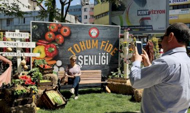 Menteşe'de 30 Bin Fidan Dağıtıldı