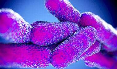 Muğla İl Sağlık Müdürlüğü  Lejyoner Hastalığı İçin Eğitime Çağırıyor