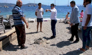 Başkan Aras'tan Habersiz Denetleme