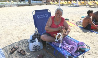 Mavi Bayrak Mavi Şezlong