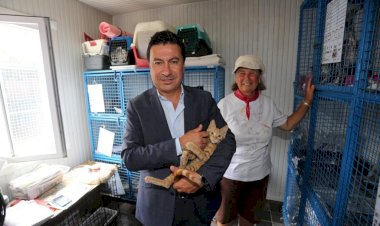 Bodrum’da Yalnız Yaşamadığımızın Farkındayız