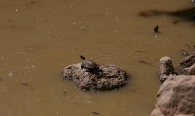 Kuruyan Gölete Belediye'den Su Takviyesi