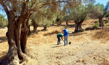 Karaova’da Tarımsal Kalkınma Hamlesi Başlıyor