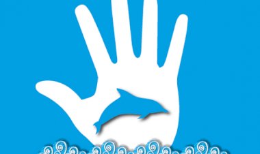 Bodrum Yunus Parkı’nın Kapatılması İçin 65 Bin İmzayla Geliyorlar