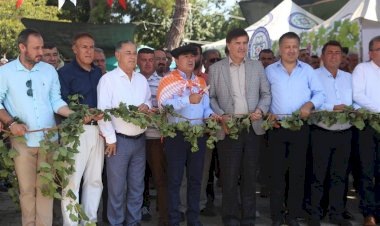 Kurdela Yerine Asma Dalını Keserek Şenliği Başlattılar