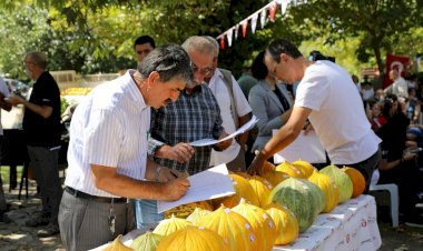 Yaylanın En Güzel Kavunları Seçildi