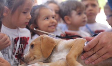 Sevimli Dostların Kalp Atışlarını Dinlediler