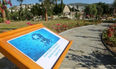 Halikarnas Balıkçısı Arboretumu Kurulacak