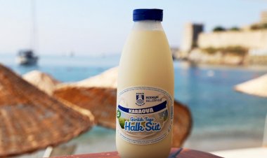 Bodrum Halk Süt, 4.99 Tl’dan Satışta