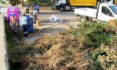 Bir Bölgeden 85 Ton Atık Topladılar