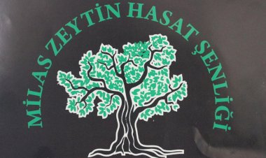 Milas 6. Zeytin Hasat Şenliği 2 / 3 Kasım'da Yapılacak