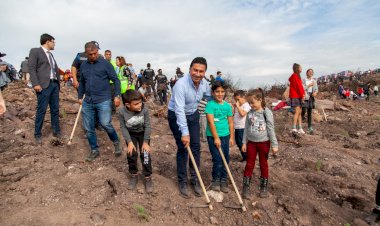 Ağustos Ayında Yanan Alan Yeniden Yeşerecek