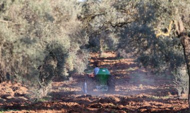 Ata Tohumları Karaova'da Toprakla Buluştu