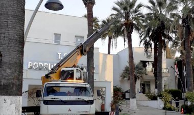 Bodrum’da Palmiye Ağaçlarına Kışlık Bakım Başladı