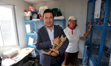 Bodrum'daki 20 Klinik 3 Ay Ücretsiz Hizmet Verecek