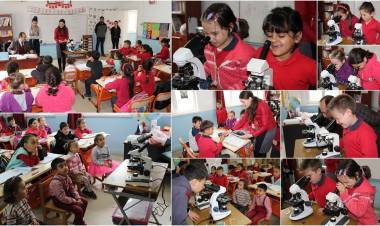 Öğretmenim Mikroskoba Dokunabilir Miyim