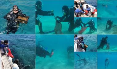 Denize En Çok MAVİ Yakışır Sloganı İle Adaboğazı Tertemiz Oldu