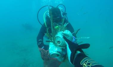 Denize Bu Hafta Da En Çok Mavi Yakıştı