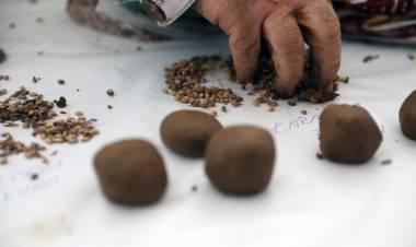 Bölge Üreticileri Tohum Fide Şenliği’nde Bir Araya Geldi
