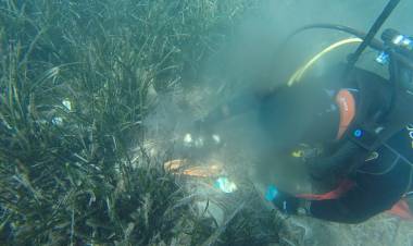 Bitez'de Deniz Dibi Temizliği