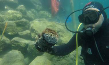 Dalış Ekibi Bu Hafta Torba’yı Temizledi