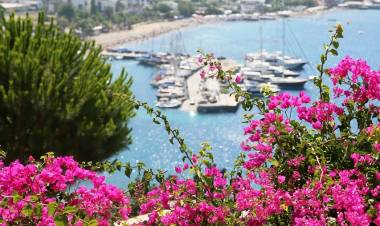 Türkiye’nin Ve Dünya’nın Parlayan Yıldızı Bodrum