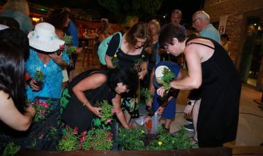 En Güzel Bahçe, Balkon - Teras Yarışması Sonuçlandı