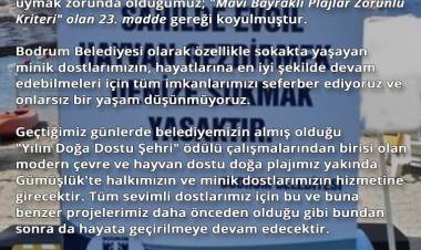 Mavi Bayraklı Plajlar İlgili Borum Belediyesinden Açıklama