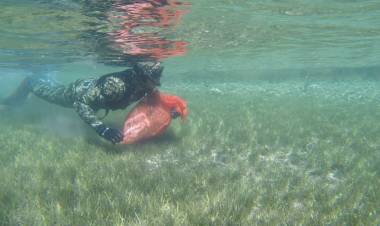 Dalış Tuzla ve Yediadalar'da Devam Etti