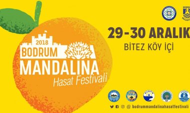 Bodrum Mandalina Hasat Festivali Başlıyor
