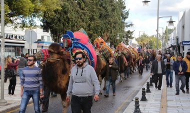 Bodrum Deve Güreşi Kortej Yürüyüşü İle Başladı